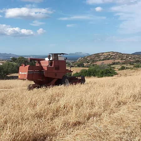 La Pittorra Loiri Porto San Paolo